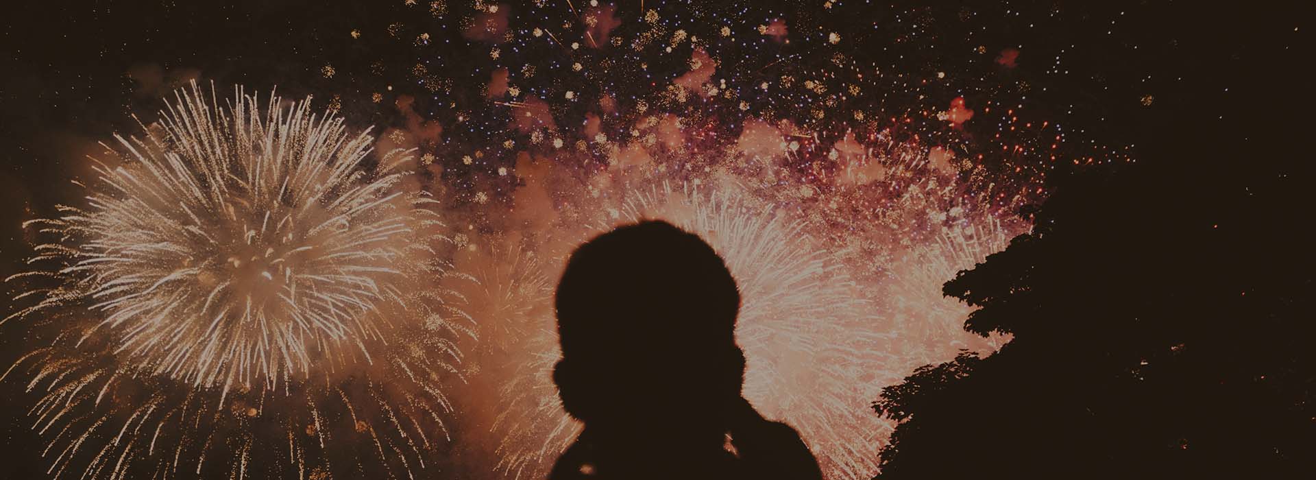 Feu d’artifice des Fééries Nocturnes au-dessus des étangs du Bois des Lutins, près de Lyon